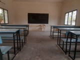 class (4)